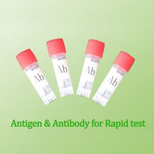 Monoclonal Antibodies