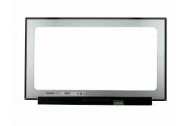 NV156FHM-N61