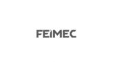 巴西圣保罗工业展览会 FEIMEC